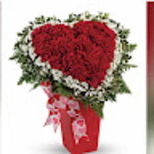 Meet your Posher, Ernest